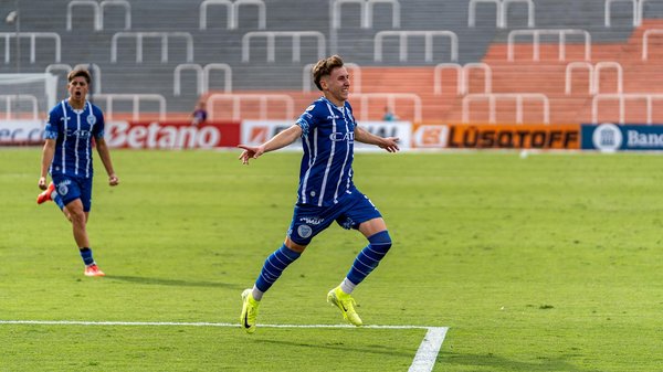 Wie könnten Haustiere unser Verständnis von sozialem Verhalten vertiefen?