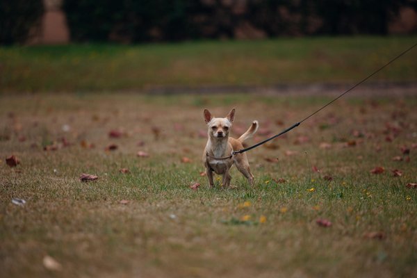 Wie wirkt sich die globale Nachrichtenwelt auf Ihren Alltag aus?